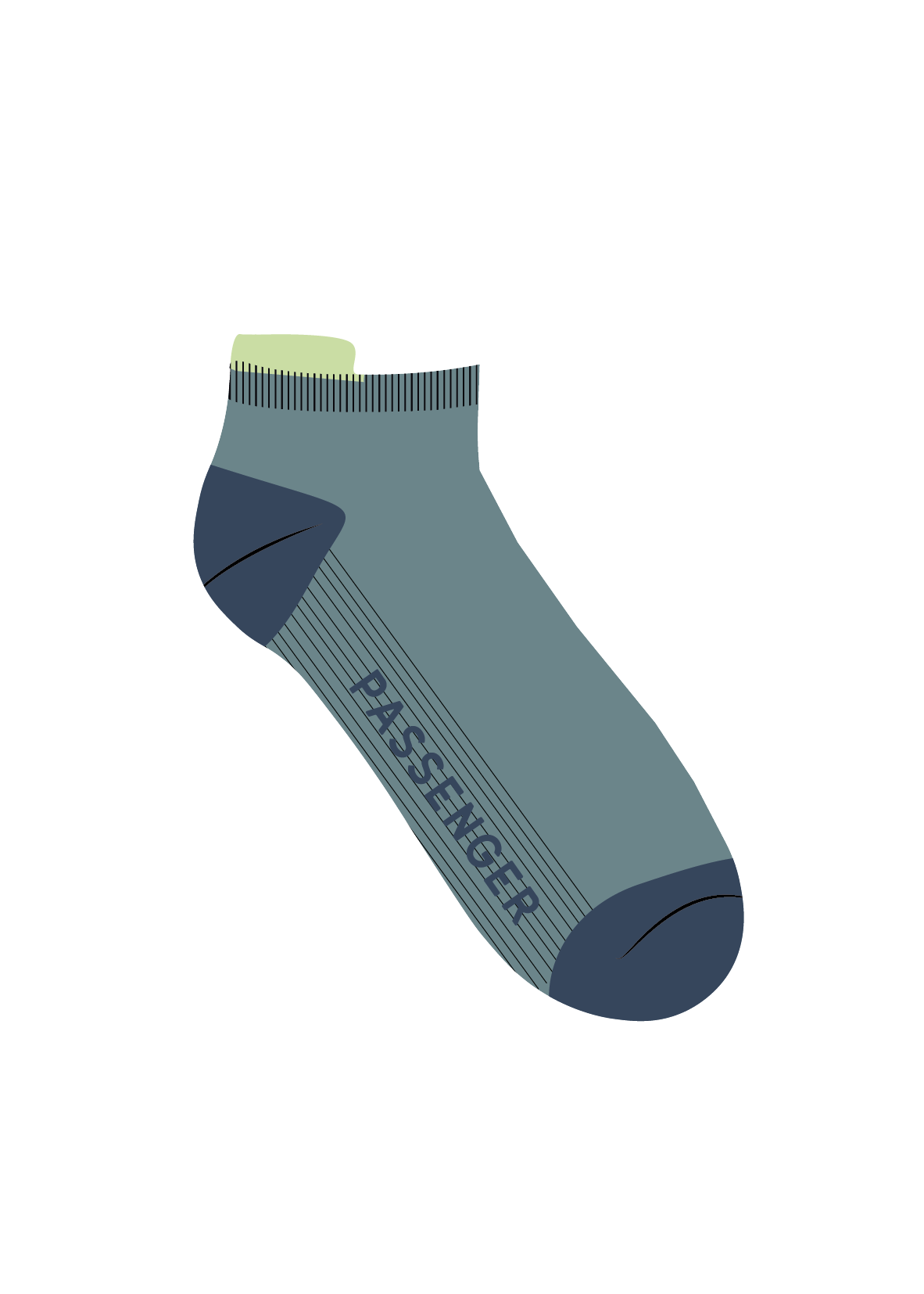 Classic Roamer Trainer Socks - Arctic