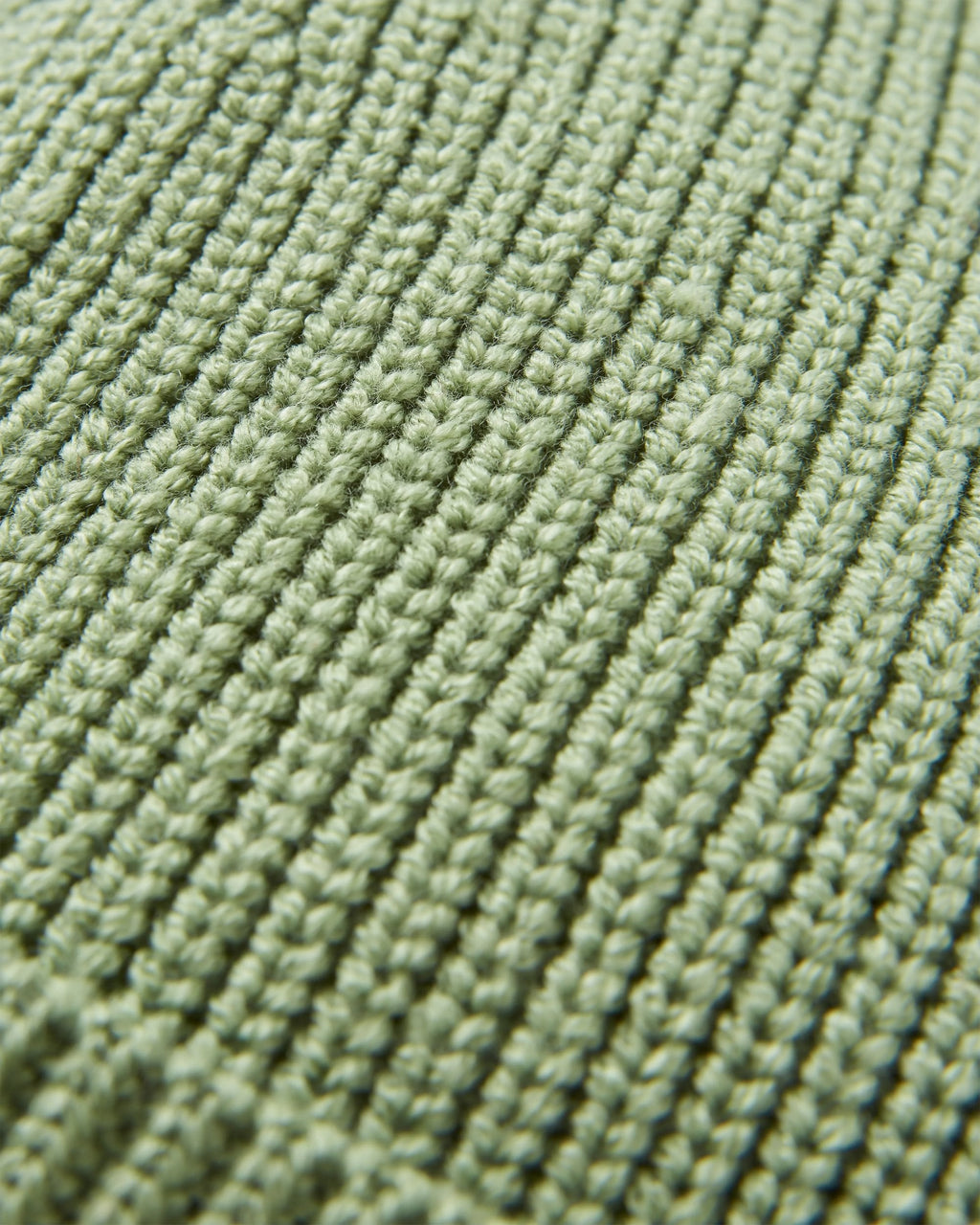 Compass Recycled Beanie - Stem Green