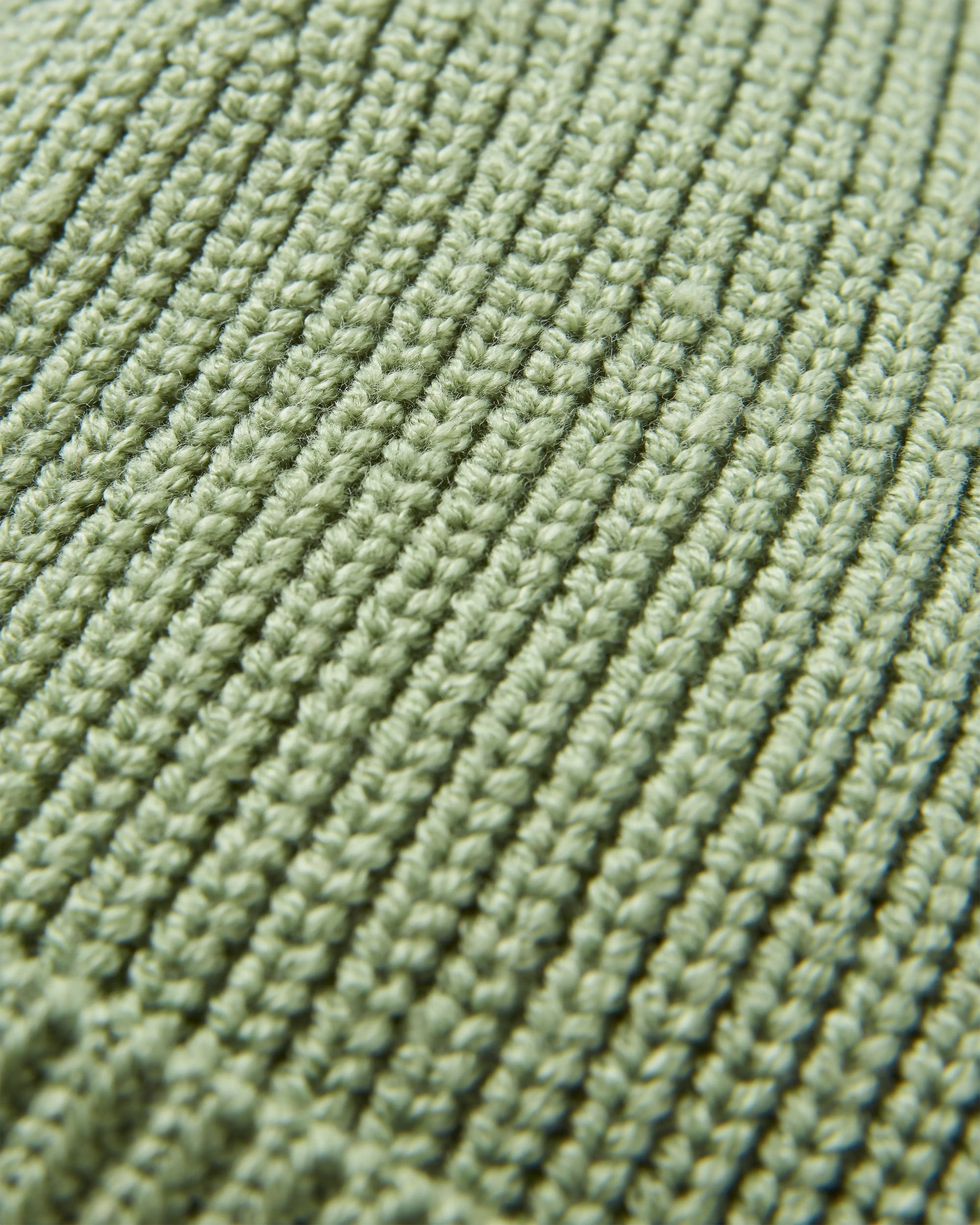 Compass Recycled Beanie - Stem Green