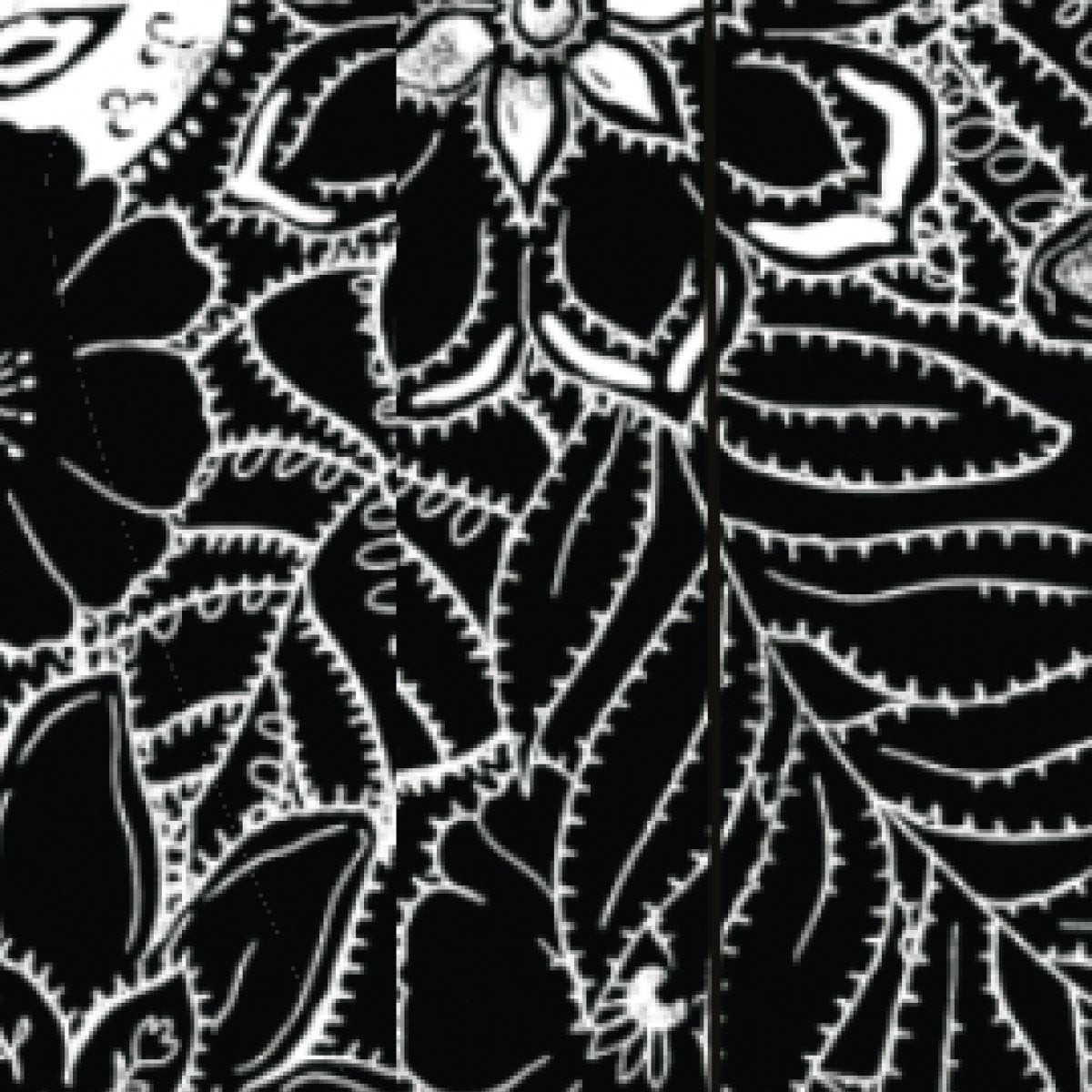 Fresh Air Recycled Leggings - Black Floral